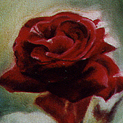 Rote Rose